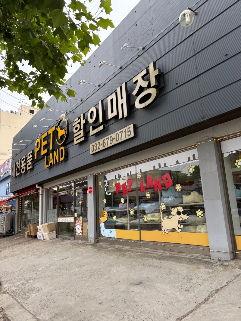 펫랜드에서 직접 시승해본 로얄테일즈 아리아 후기 강아지유모차 먹물이와 오프라인 매장 ....
