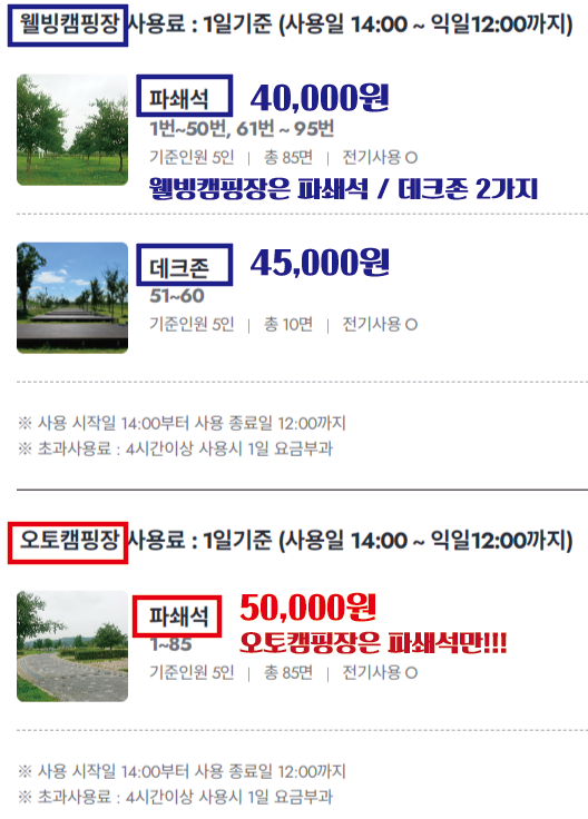 대신오토캠핑장 사진 5