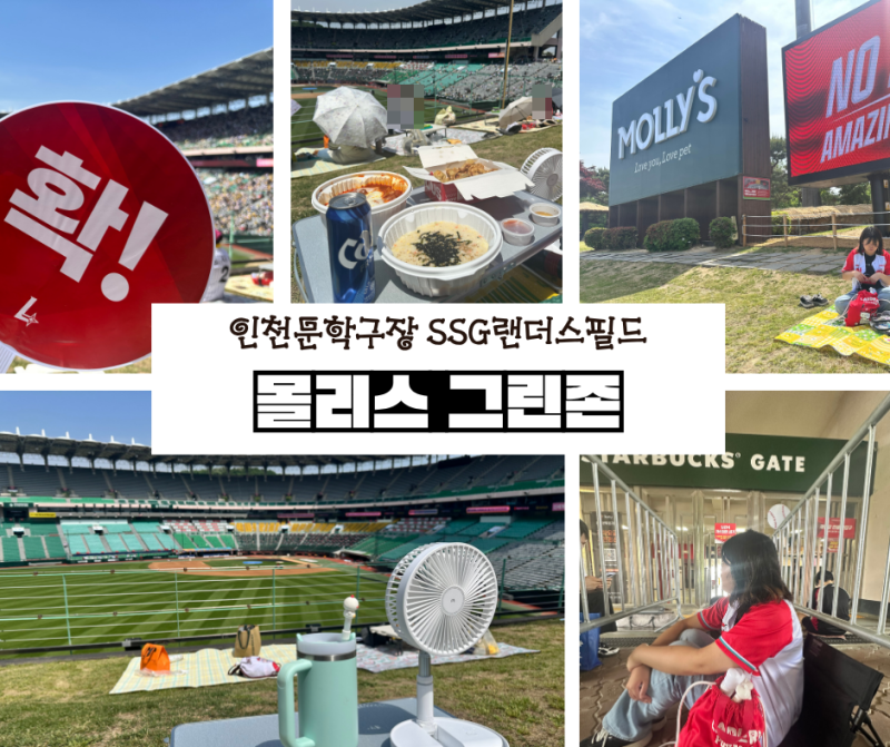인천 SSG랜더스필드 몰리스 그린존 후기｜가족·커플에게 인기! 잔디밭에서 즐기는 특별한 야....