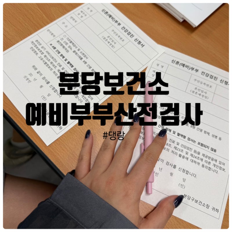 분당보건소 산전검사 신혼부부 예비부부 무료검사 결과 후기