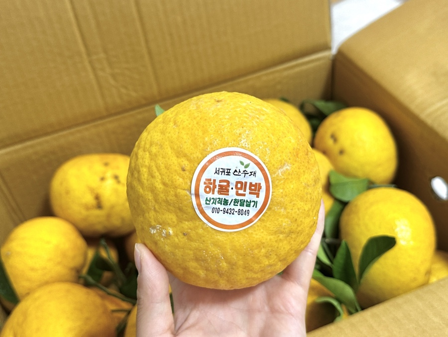 산수재 사진 3