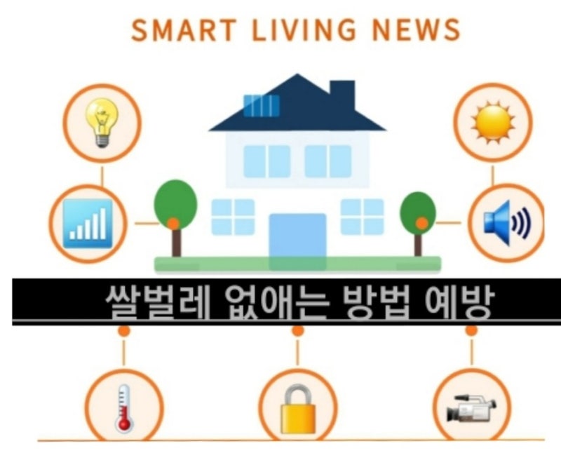 쌀벌레 없애는 방법 예방 및 이미 생긴 쌀바구미 퇴치법 추천