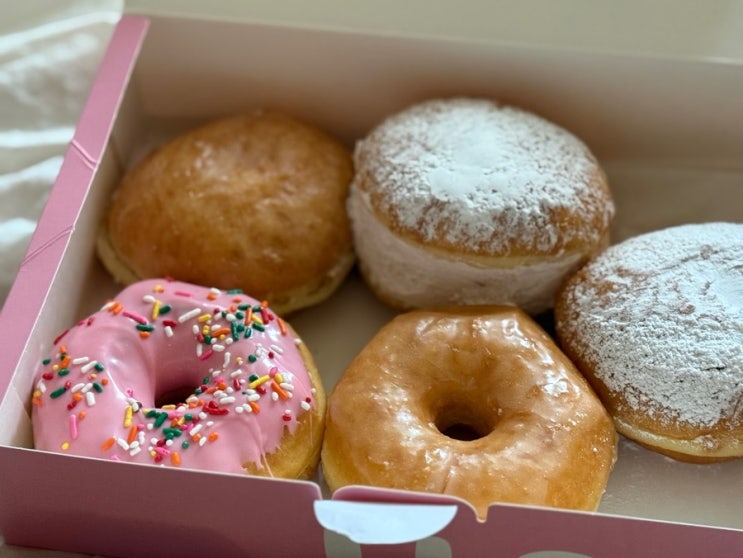  경희대 디저트 맛집 ㅣ 경희대병원 병문안 선물로 딱인 도넛팩토리본점 후기