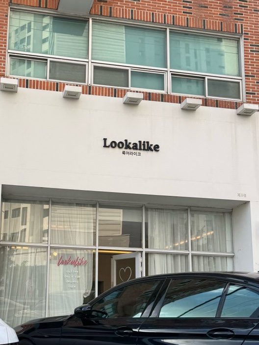 룩어라이크 사진 1