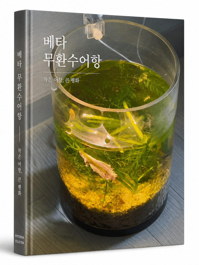 무환수 어항(베타 어항)