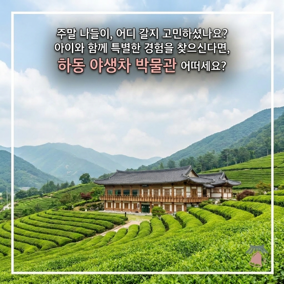  하동야생차박물관 입장료 무료에 찻잎따기 체험비 정보