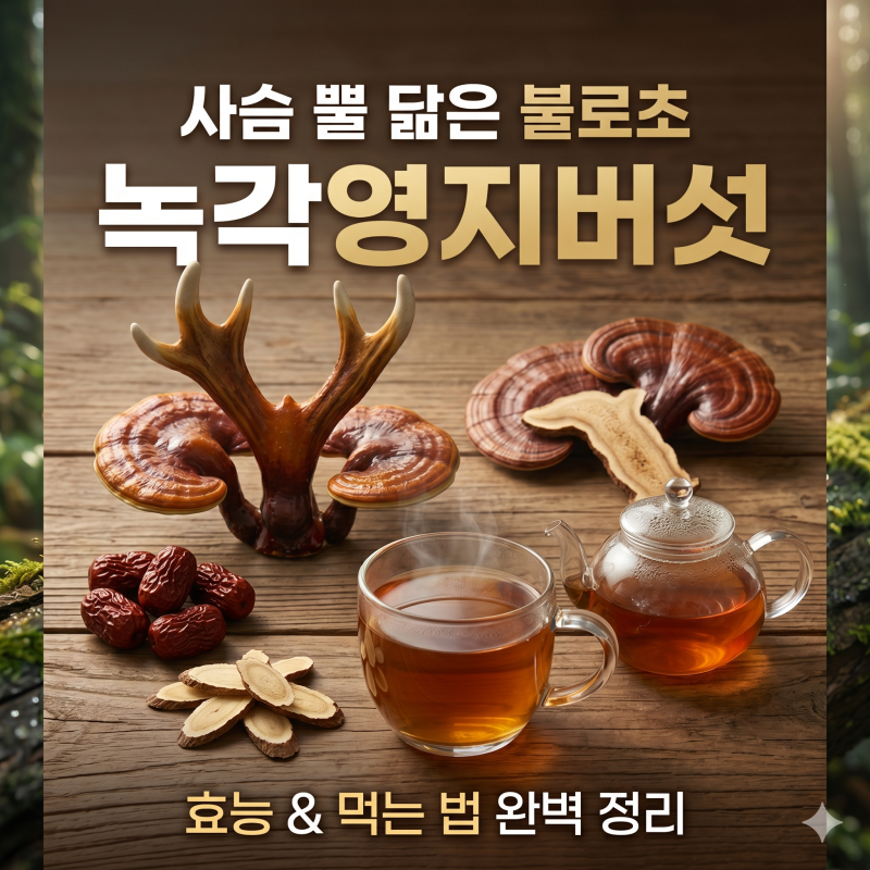 녹각영지버섯 효능 3가지와 절대 실패 없는 먹는법 가이드