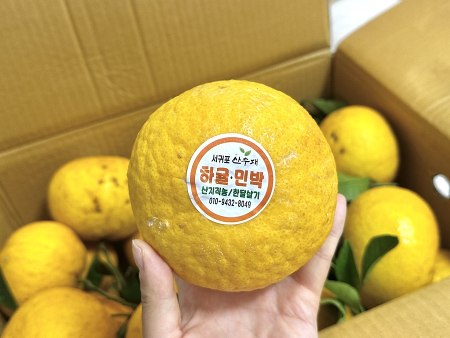 산수재 사진 4
