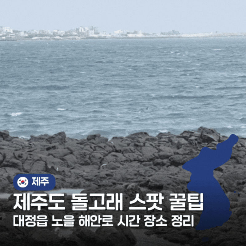 제주도 돌고래 대정읍 노을해안로 스팟 시간 꿀팁 정리 미쁜제과