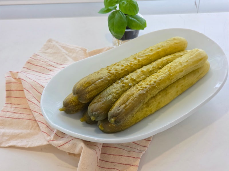 전통 오이지 담그기 50개! 소금물 만들기 비율 골마지 진짜 괜찮아?