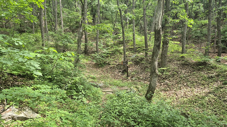 용문산 사진 6