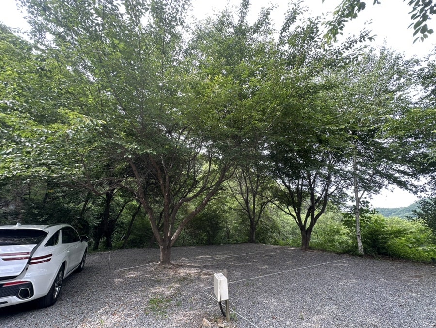 산으로캠핑장 사진 4