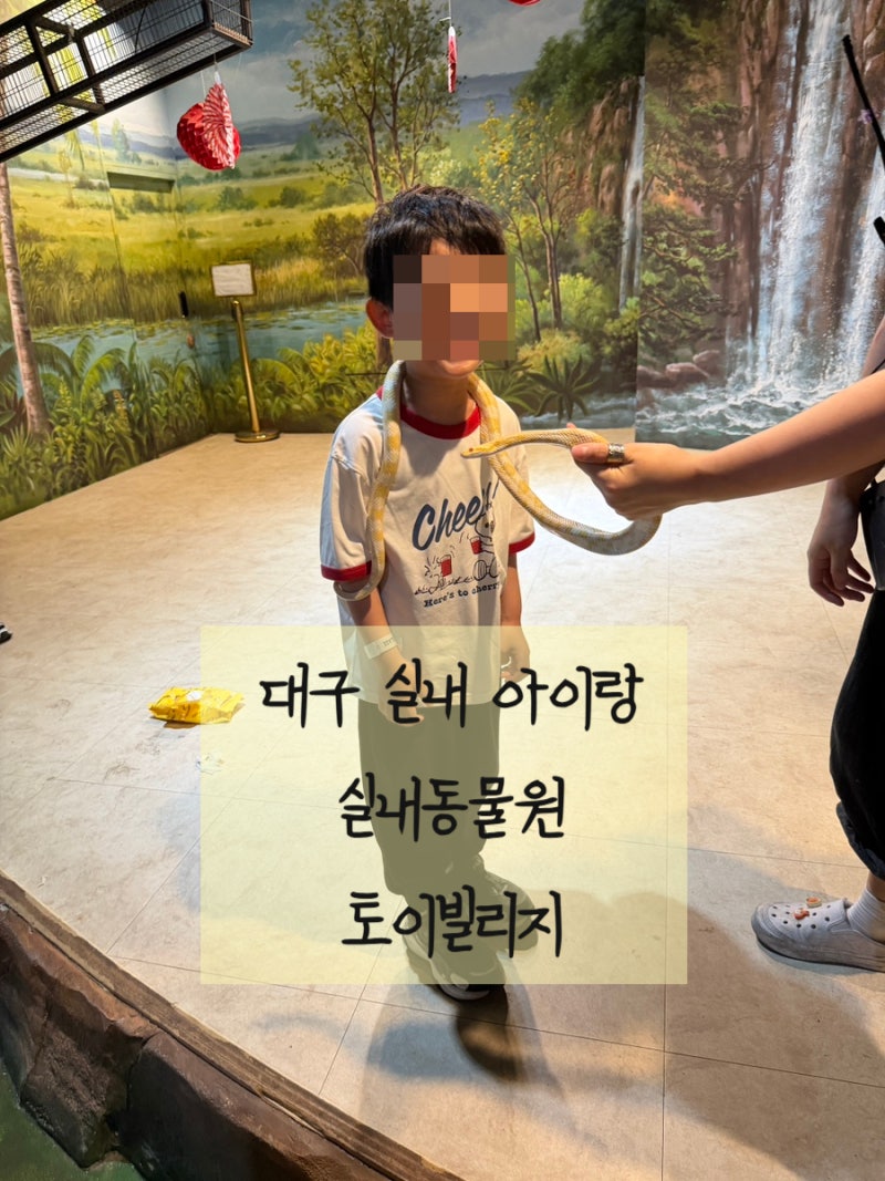 대구 아이랑 실내 가볼만한곳 : 토이빌리지 재방문,관람순서,꿀팁 (체험형 실내동물원, 키즈....