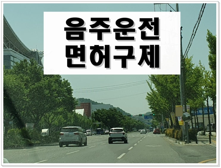  음주운전 행정심판 청구서, 왜 반성문처럼 쓰면 기각될까? (3가지 핵심 주의점)
