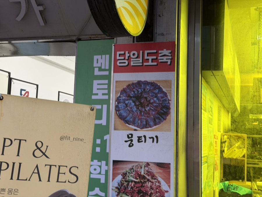 히야뭉티기 사진 2