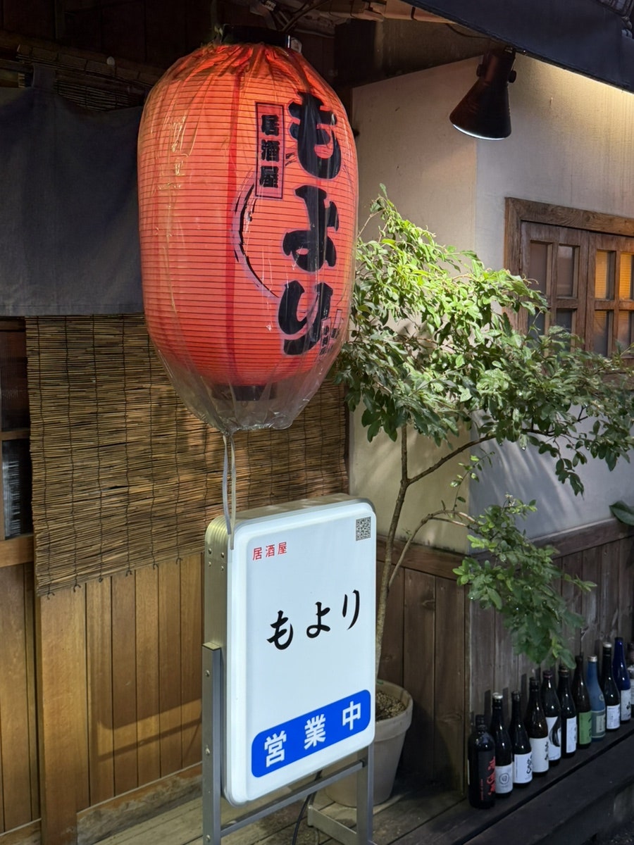 모요리 사진 3