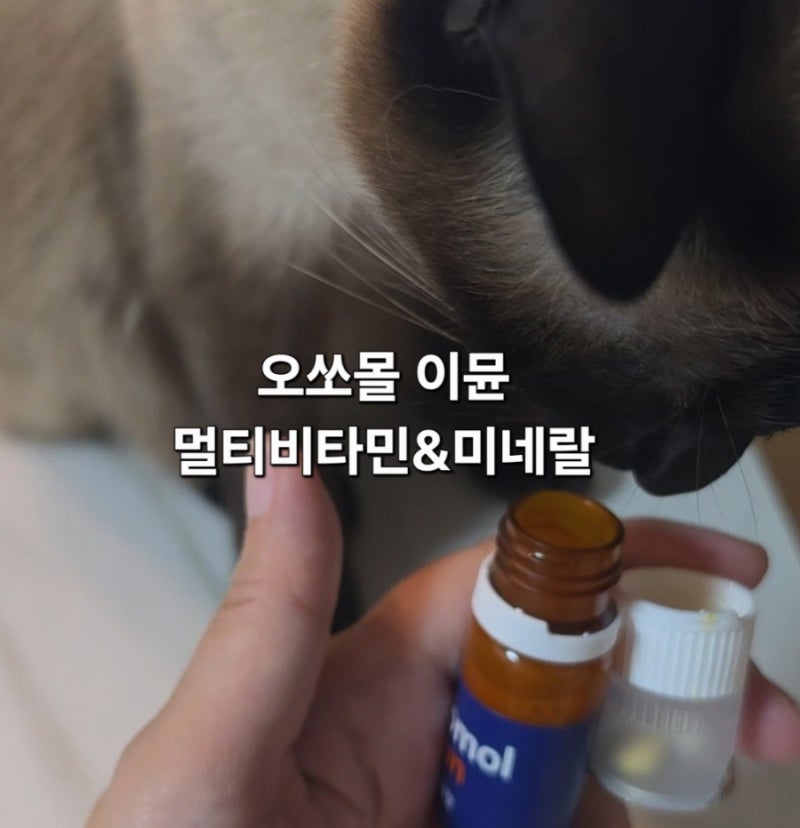 독일 프리미엄 비타민 오쏘몰 이뮨 멀티비타민&미네랄 솔직 후기