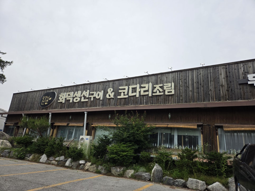 왕뎅이선생 사진 1