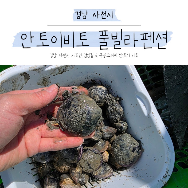 몸만 가면 되는 부산근교 해루질 갯벌체험 풀빌라 펜션 물놀이 불멍 사우나 바베큐 다 OK