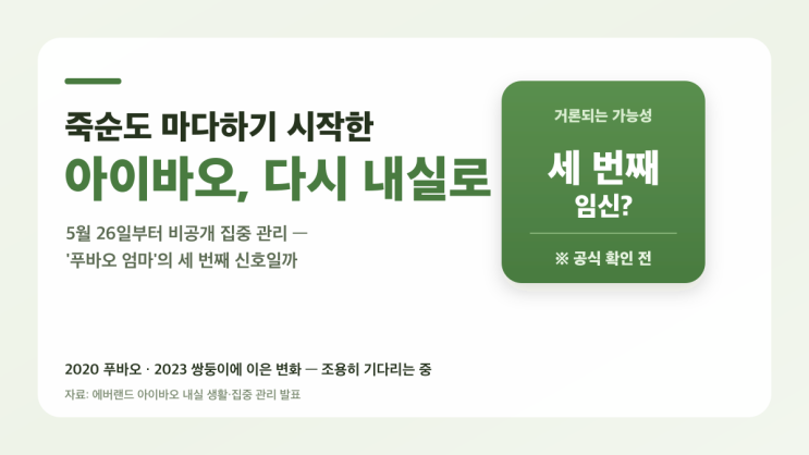 죽순도 마다하기 시작한 <b>아이바오</b>, 다시 내실로 들어갔다... 