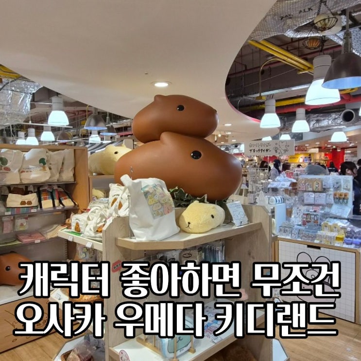  [오사카 우메다 쇼핑] 친구 따라갔다 반하고 온 우메다 키디랜드 솔직 후기