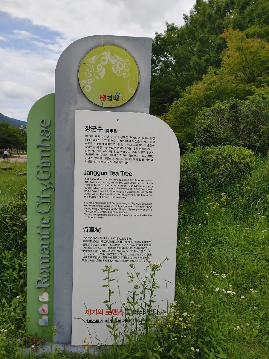 모옌 사진 2