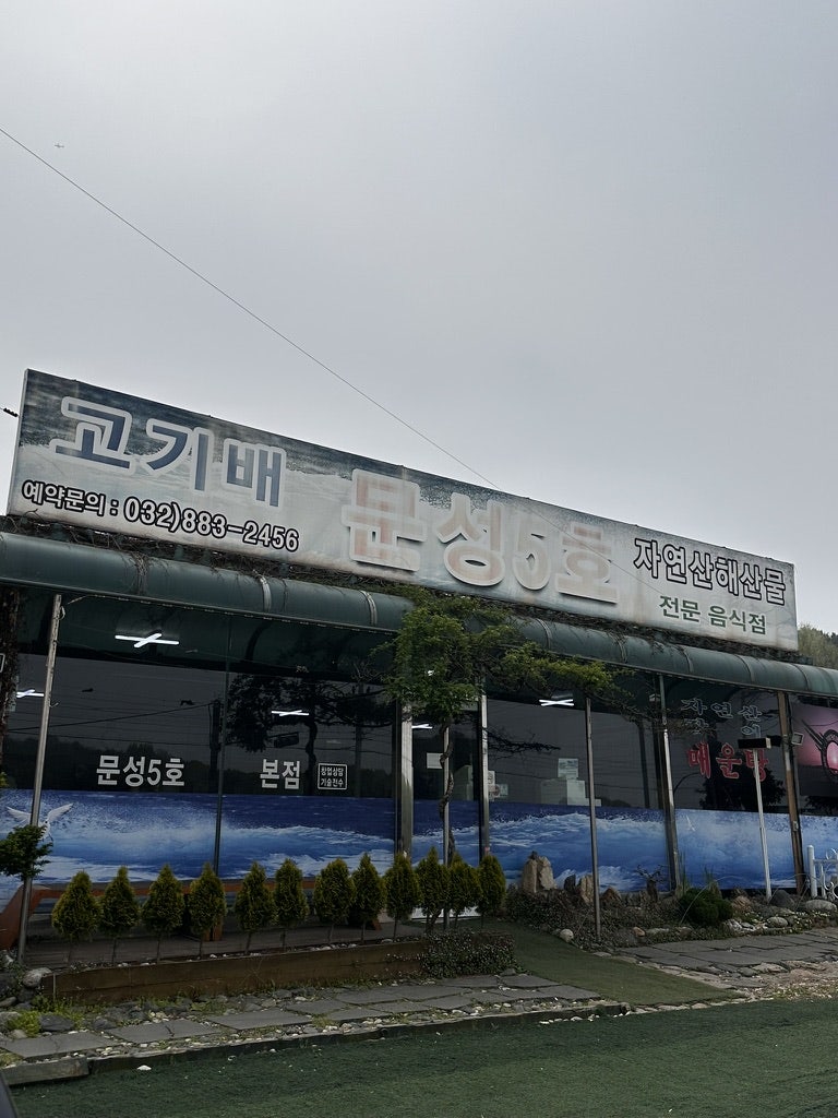 문성5호 사진 2