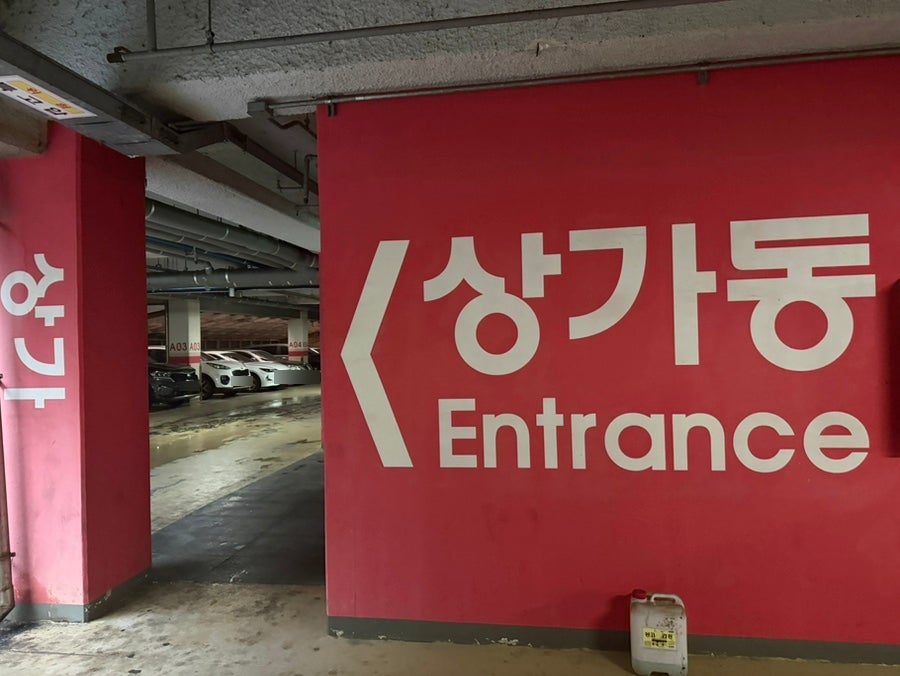 설참치 사진 2