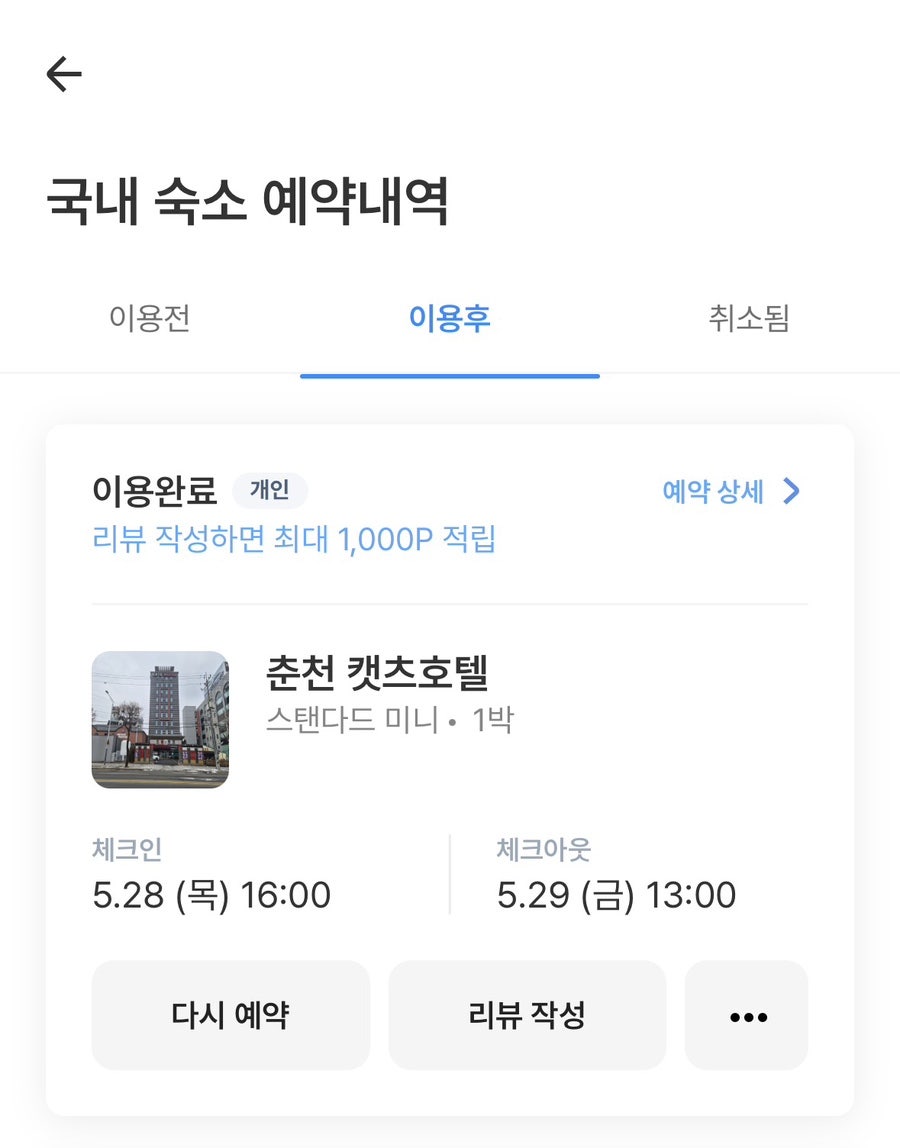 캣츠호텔 사진 3