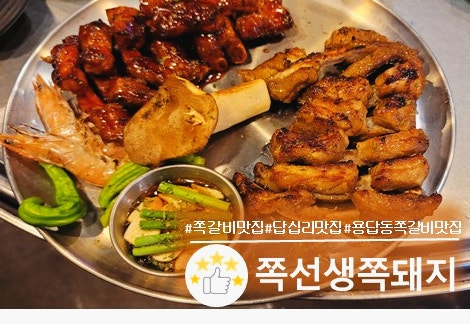 쪽선생쪽돼지 사진 1
