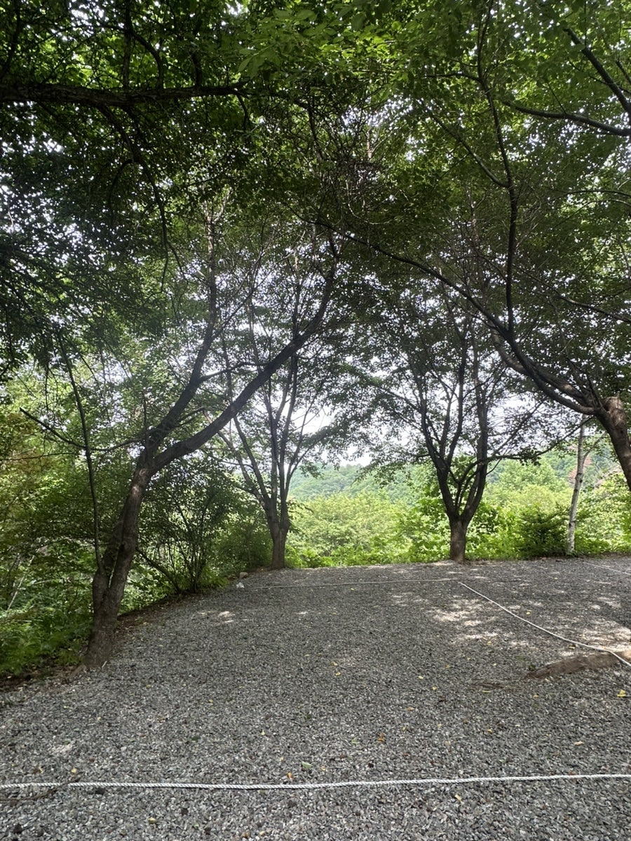 산으로캠핑장 사진 5