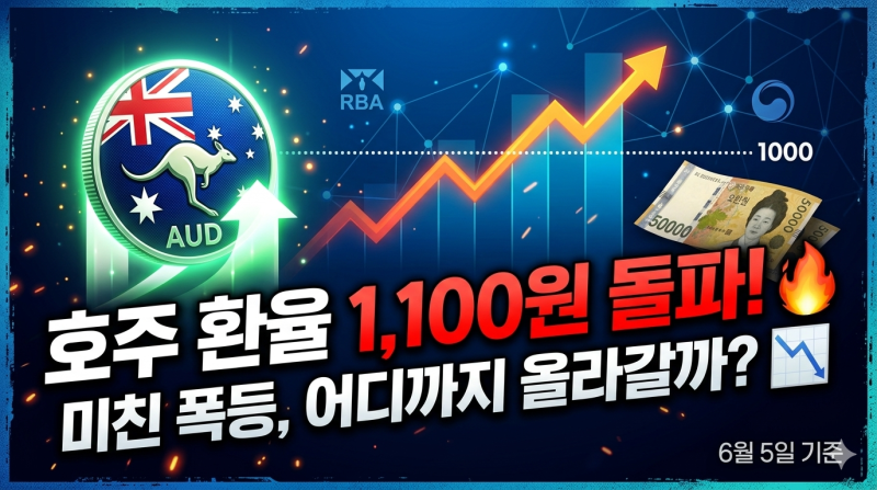 결국 1,100원 넘었다... 역대급 호주 환율 폭등 원인과 향후 전망