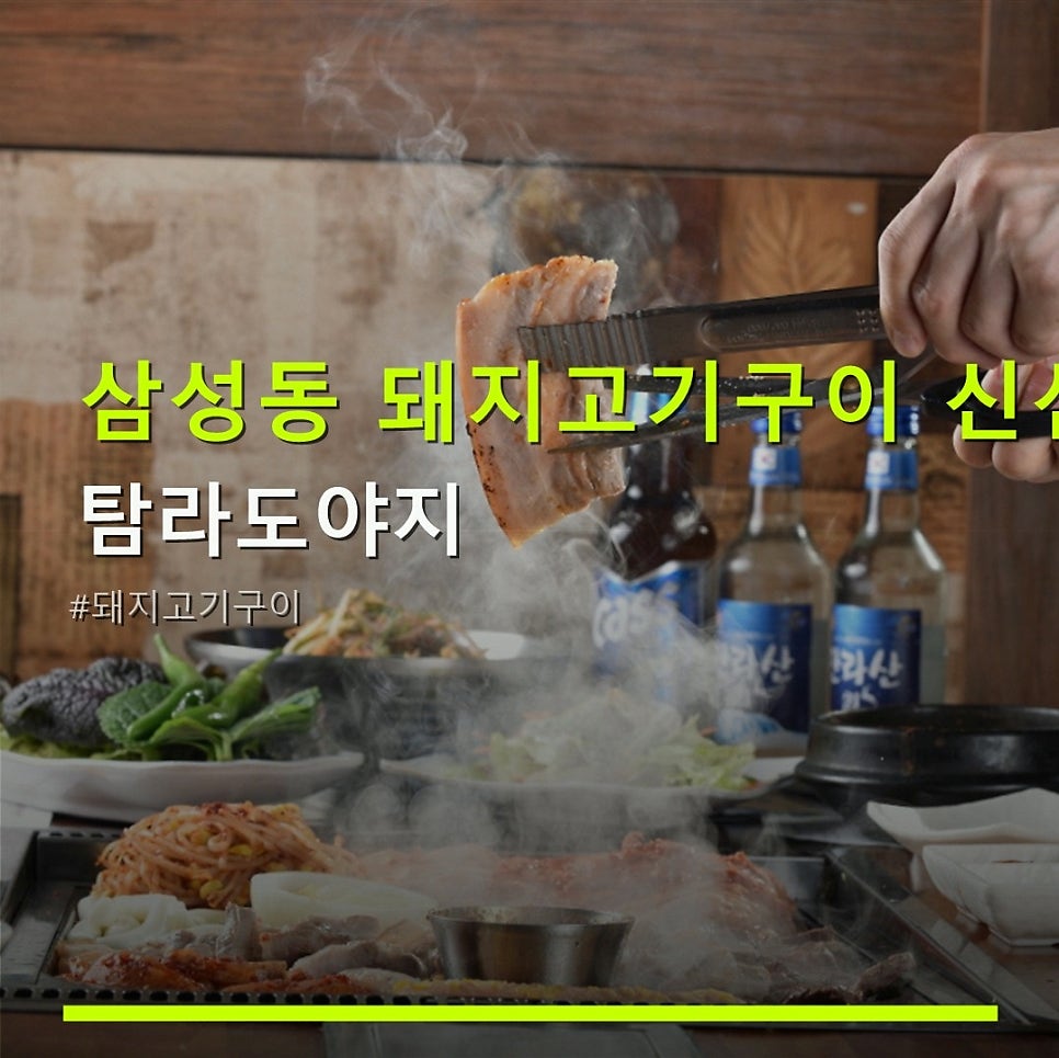 탐라도야지 사진 1
