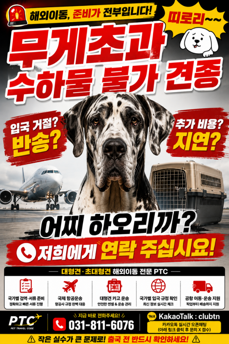  Pet Relocation Korea 초대형견 해외이동｜항공사 수하물 불가 시 해결 방법