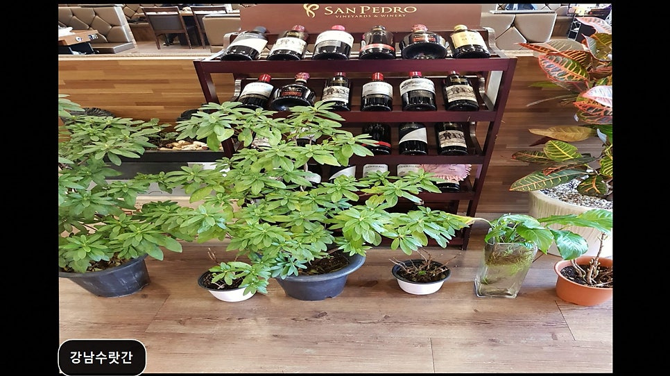 강남수랏간 사진 6
