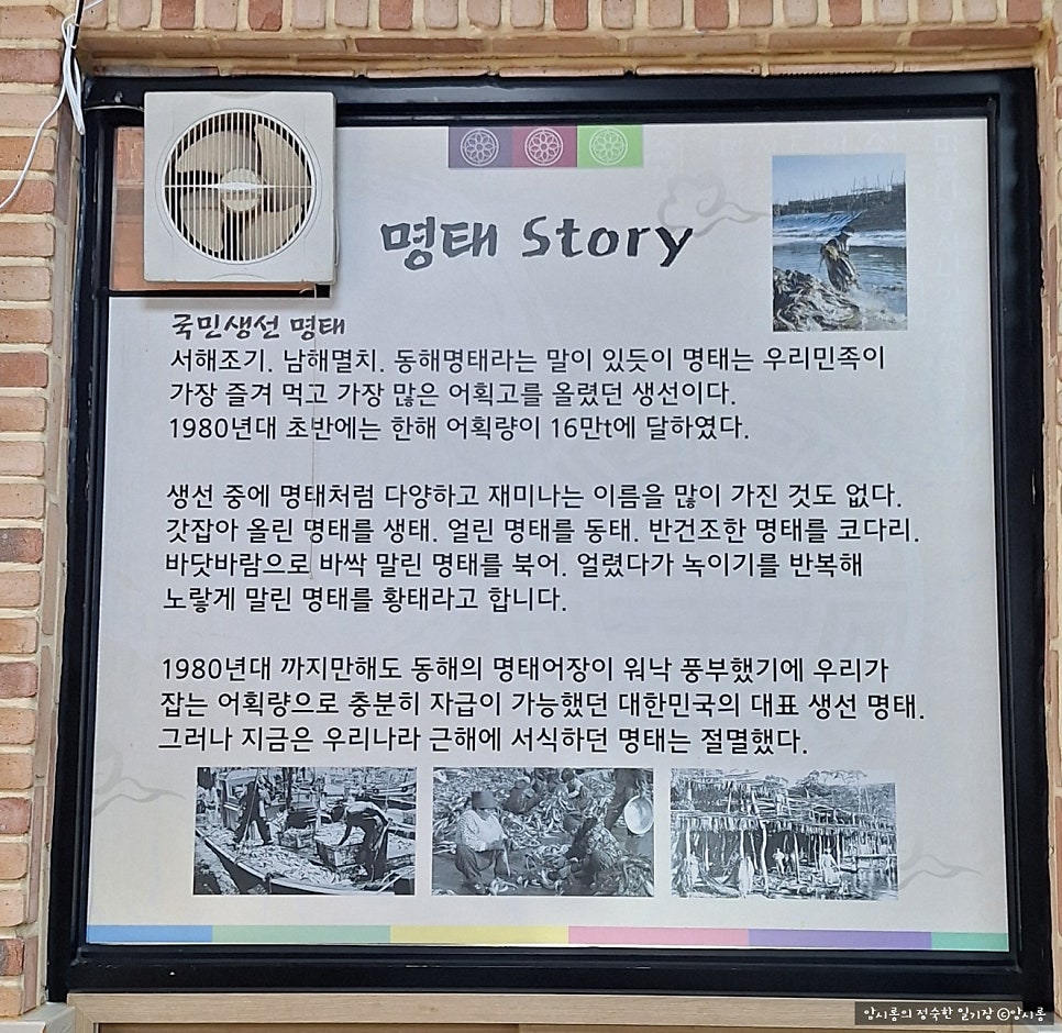 명태덕장 사진 3