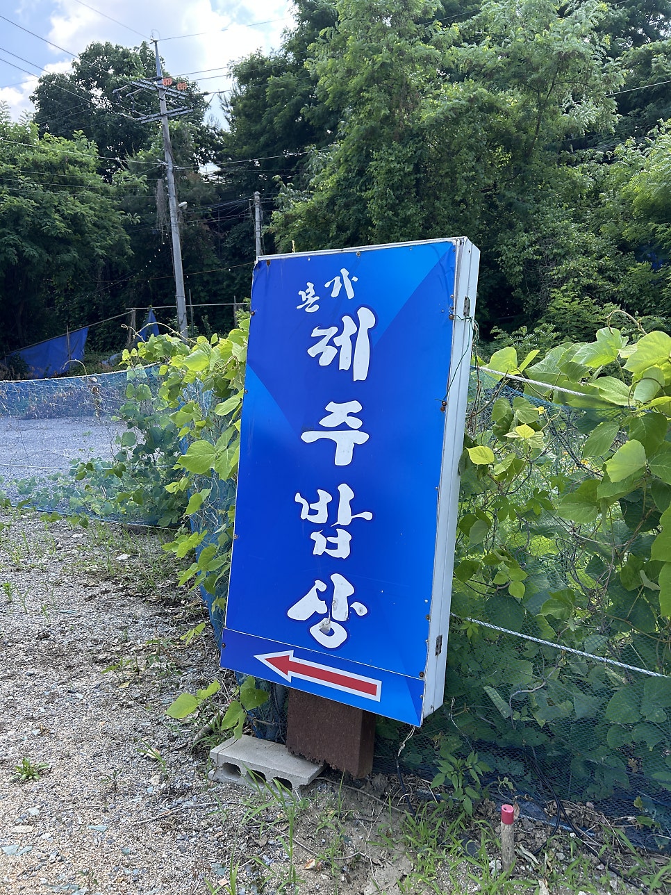 본가제주밥상 사진 5