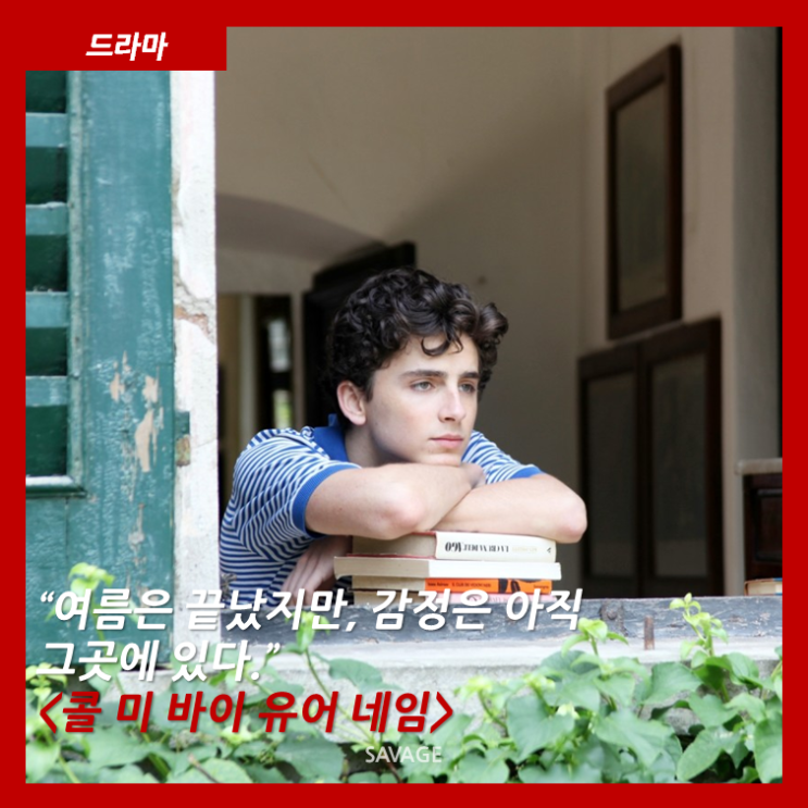  [드라마 ] "여름은 끝났지만, 감정은 아직 그곳에 있다" <콜 미 바이 유어 네임>