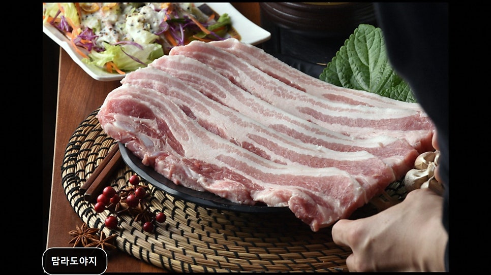 탐라도야지 사진 4
