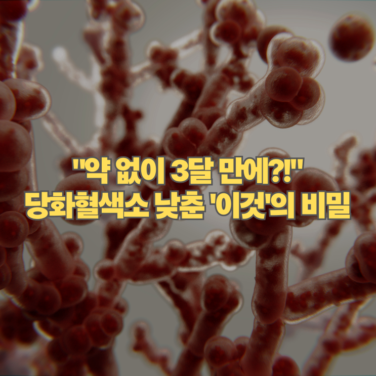  약 없이 당화혈색소 낮추기, 3달 동안 '이것'만 바꿨을 뿐인데