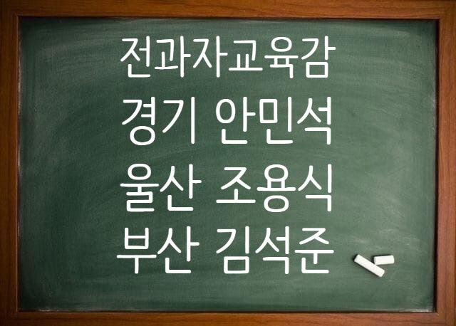 교육감 당선인 3명 전과자, 폭행·음주운전 등
