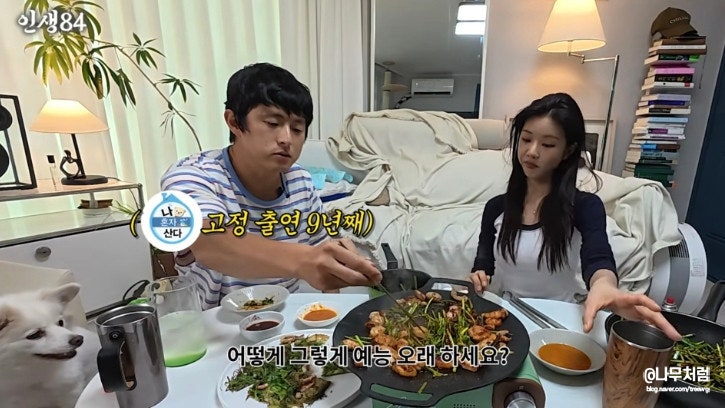 이세희, 나무위키, 총정리, 필모, 본명, 나이, 키, 학력, MBTI, 멋진신세계, 윤지효, 이세희필모....