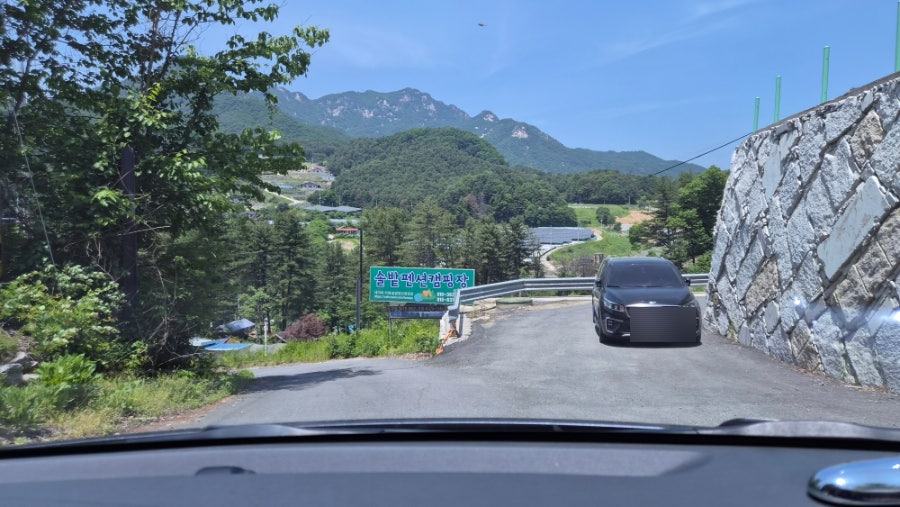 솔밭펜션캠핑장 사진 4