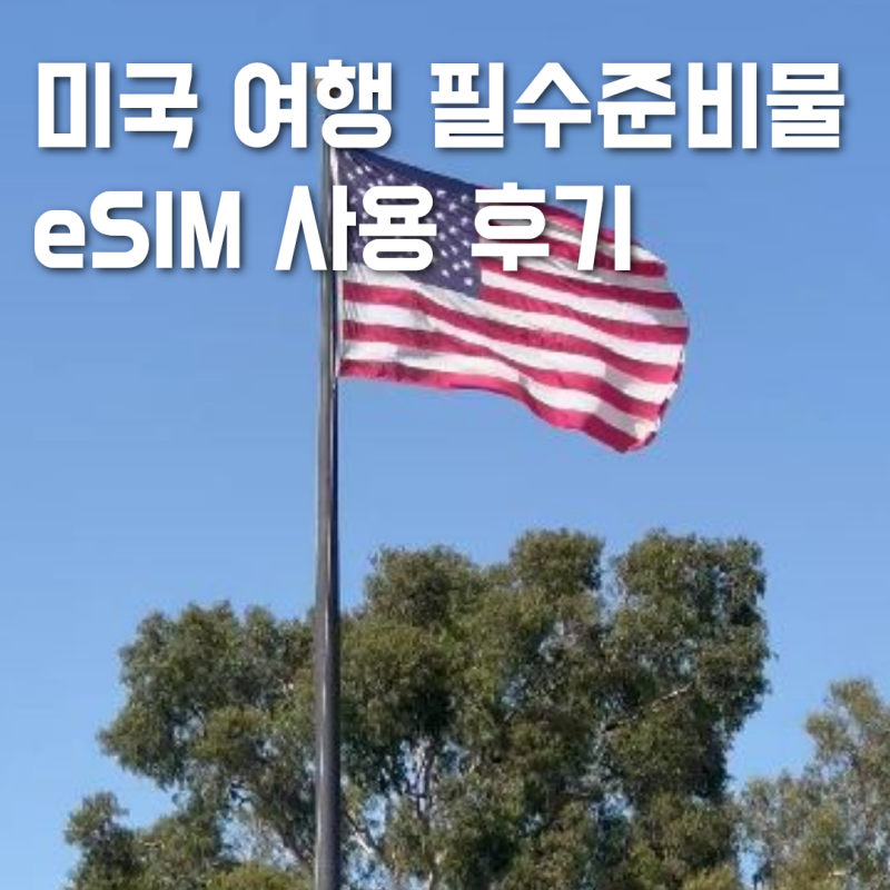 미국 여행 ESIM 장기 유심 비교 현지번호 후기 뉴욕 이심