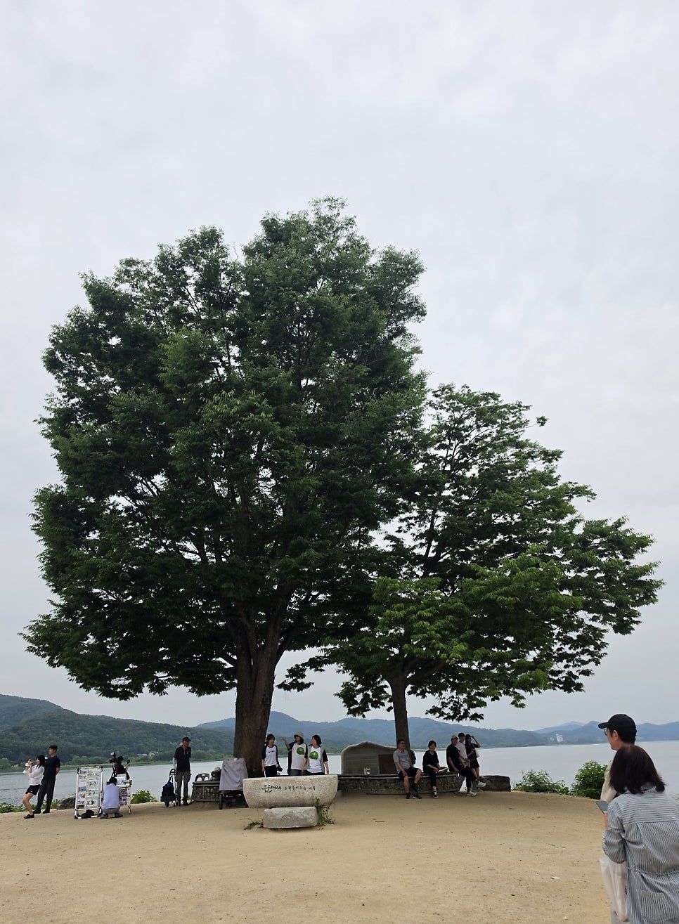 뭇순 사진 1
