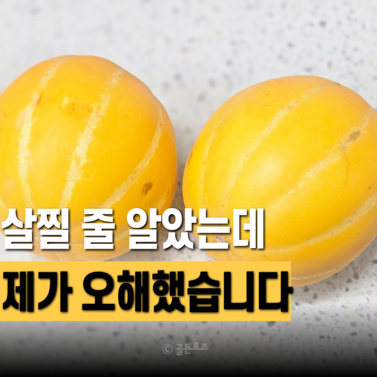 달아서 살찔 줄 알았는데… 참외 효능 알고보니 반전이었다