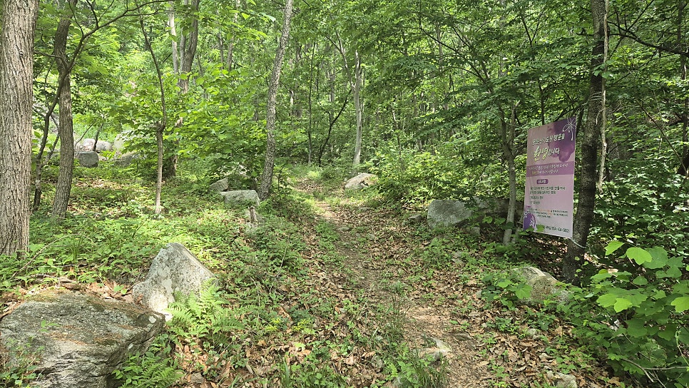 용문산 사진 5