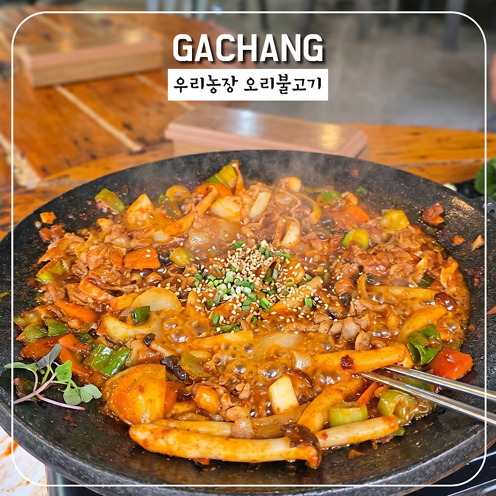 우리농장 사진 4
