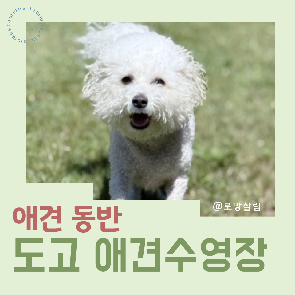 에덴도그파크 사진 1