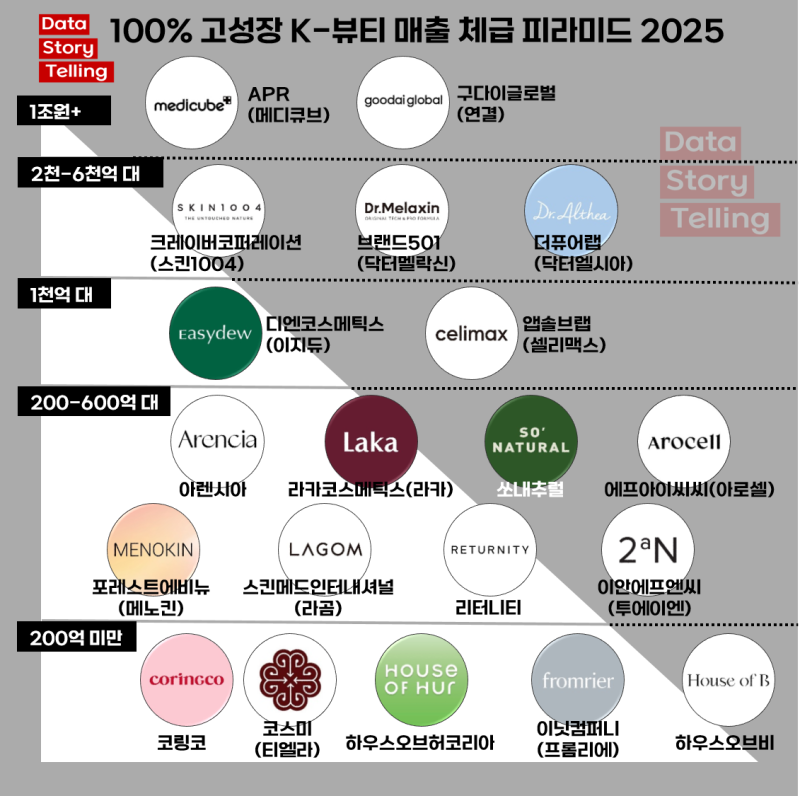 100%+ 고성장 K-뷰티 매출 체급 피라미드 2025